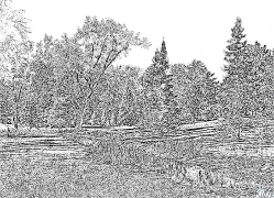 mbuga Kurasa Za Kupaka Rangi Zinazoweza Kuchapishwa